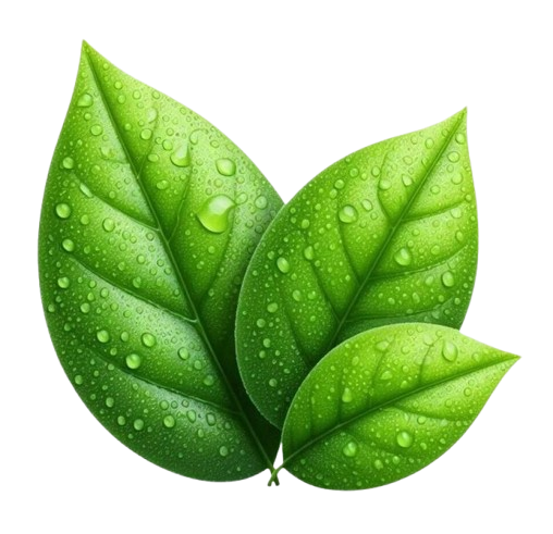 png-removebg-preview